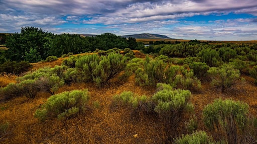 Great place to fish and camp