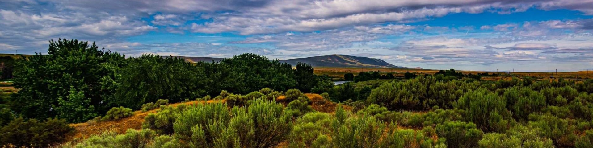 Great place to fish and camp