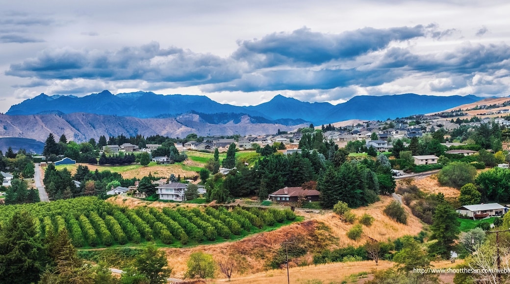 Cool day here 🌧💧