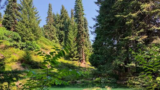 A very peaceful and beautiful place to visit, incredible what was created here. If you’re in the Wenatchee WA area, this hidden gem is a must see with only 8.00 entrance fee. #LifeatExpedia