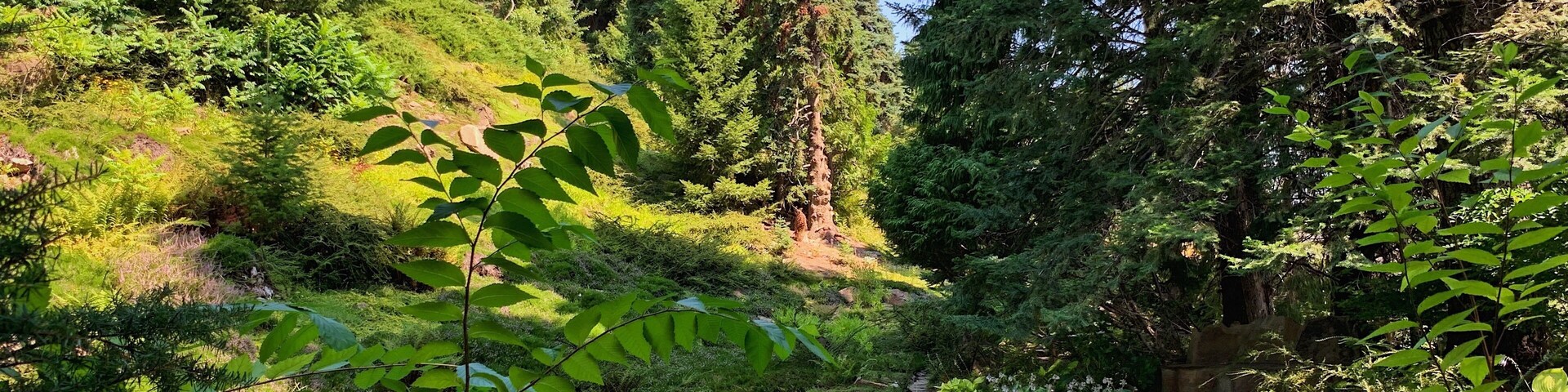 A very peaceful and beautiful place to visit, incredible what was created here. If you’re in the Wenatchee WA area, this hidden gem is a must see with only 8.00 entrance fee. #LifeatExpedia
