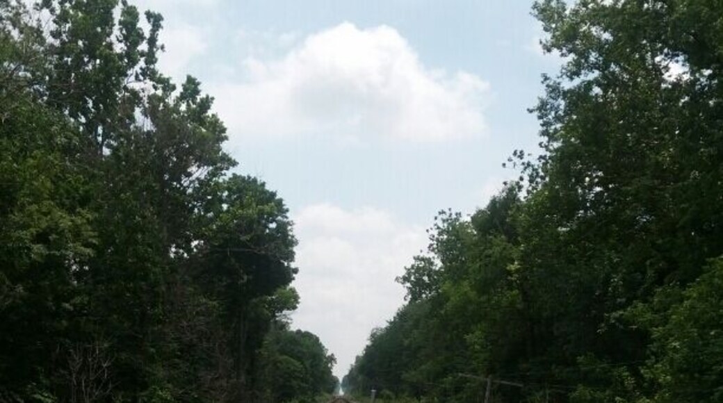 A view down the tracks that make up the western border of Van Buren State Park.