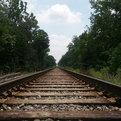 A view down the tracks that make up the western border of Van Buren State Park.