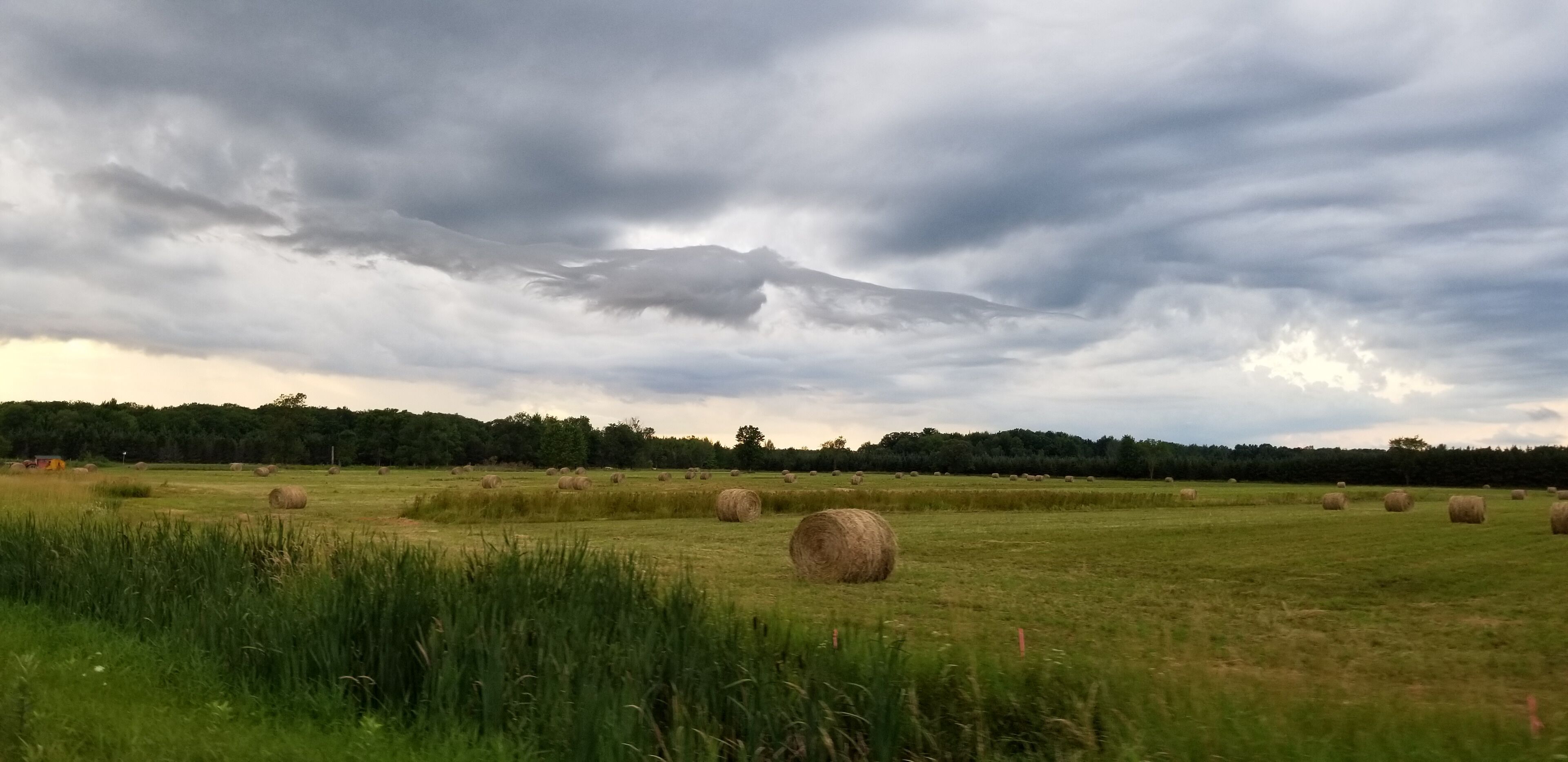 A field of hay bales under a cloudy sky.