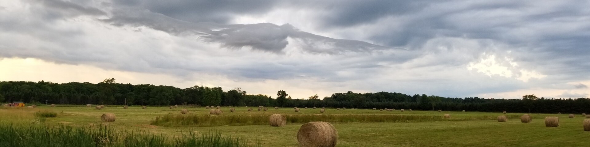 A field of hay bales under a cloudy sky.