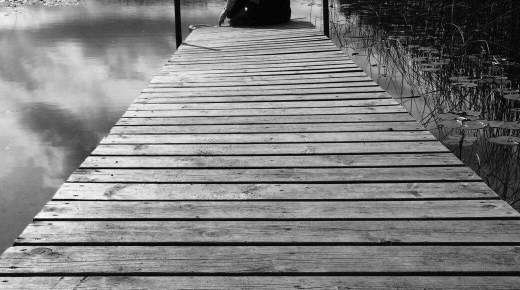 Erica and Bee watching the fishes