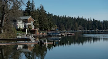 Lake houses along the shore of a clear lake landscape in Eatonville, Washington wilderness near Mount Rainier National Park