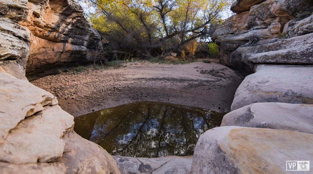 Off the highway. Photo was taken during a motorcycle trials comp. I think the trails are foot accessible but not vehicle.