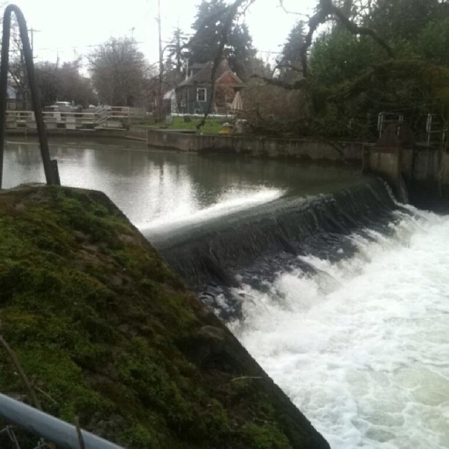 This creek runs through neighborhoods in the city of Salem. Very pretty actually.
