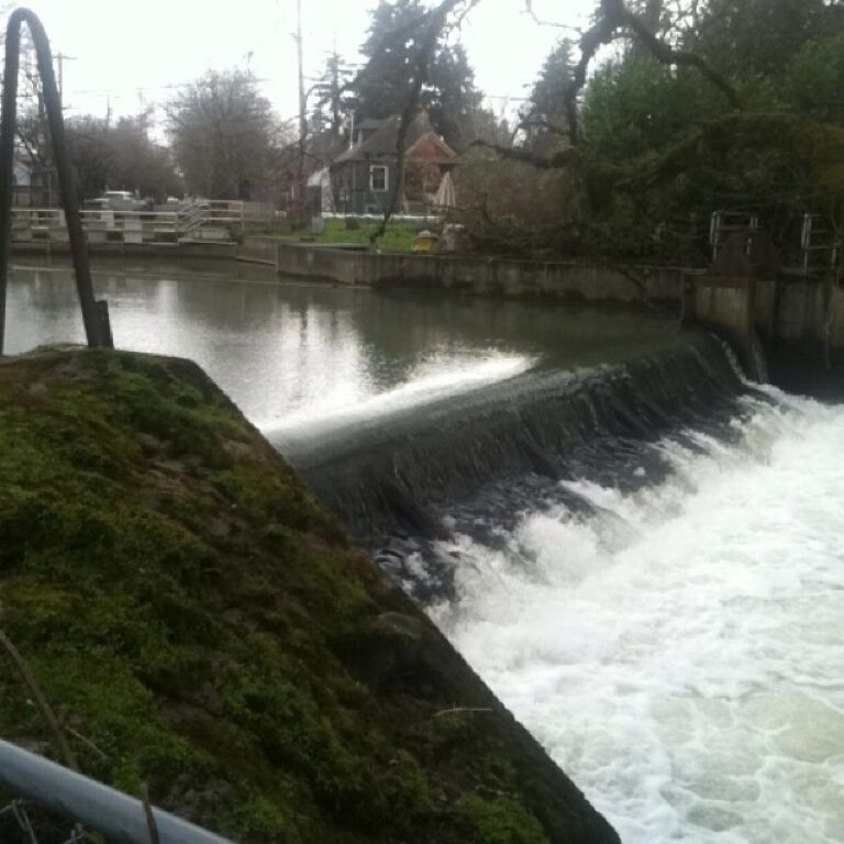 A waterfall in a park with a bridge and a house in the background.