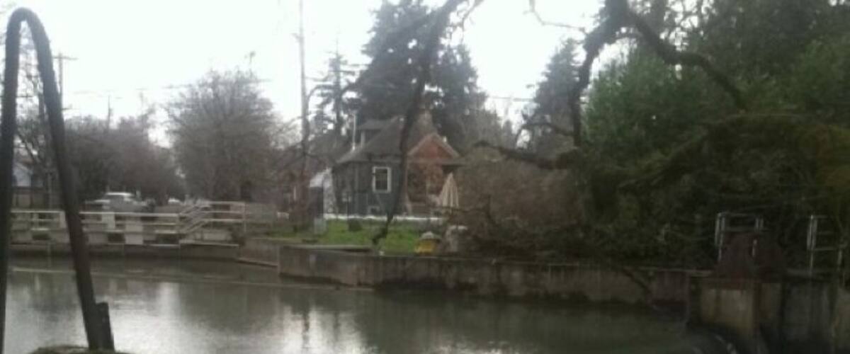 A waterfall in a park with a bridge and a house in the background.
