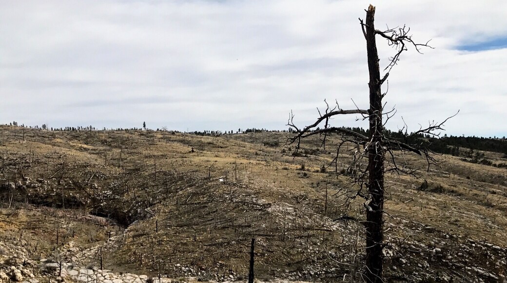 When we reached this barren landscape, I thought we had reached Deadwood, but we were hours away.
#landscape #wyoming
