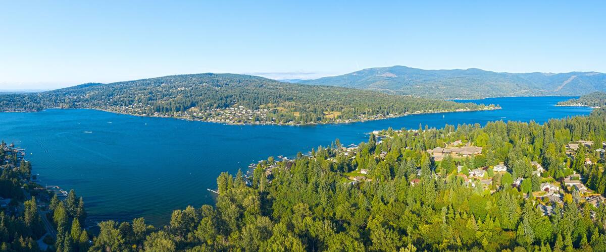 A coastal town surrounded by dense forests and a large body of water.