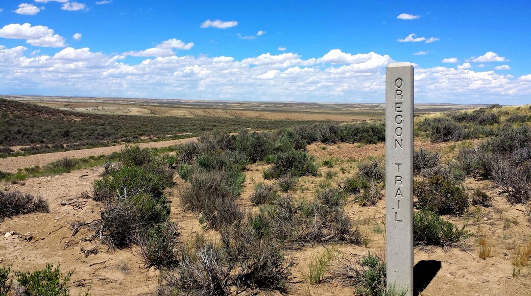 Stumbled across this portion of the Oregon Trail while at work.