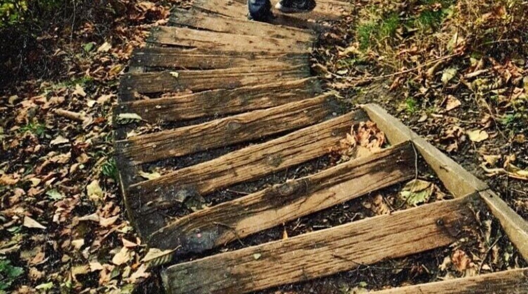 This spot is a great place to take a dog at low tide, this is the first time I’ve been here at high tide, and still just as amazing.