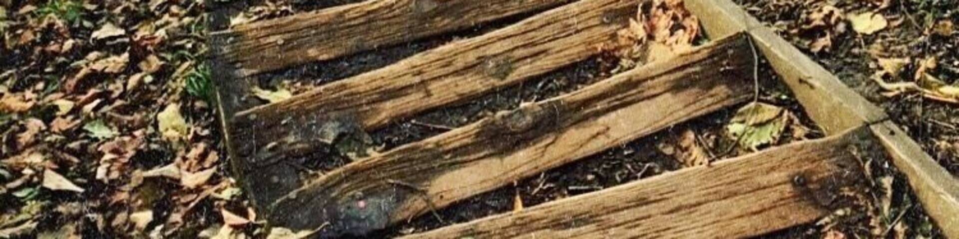 This spot is a great place to take a dog at low tide, this is the first time I’ve been here at high tide, and still just as amazing.