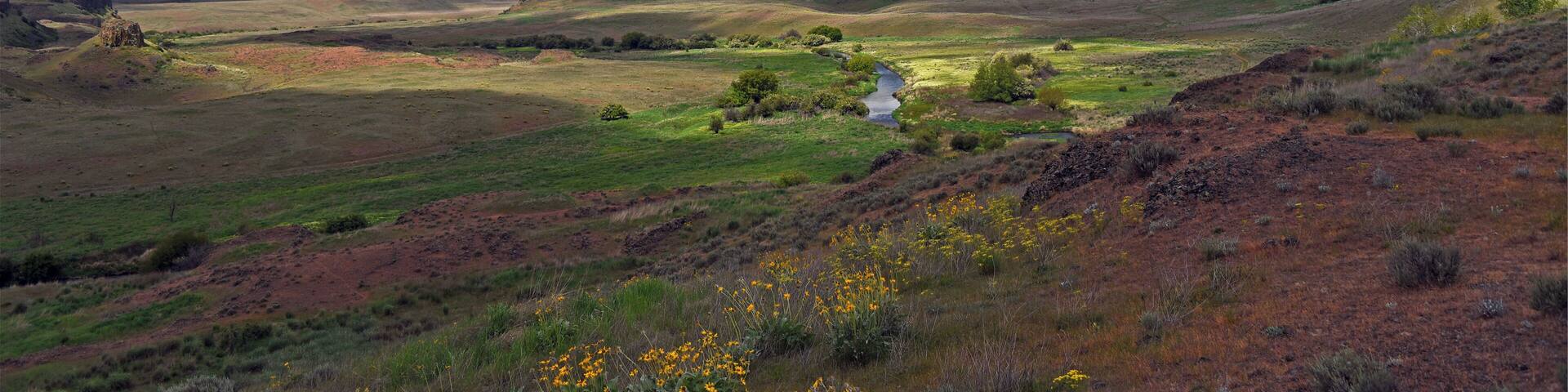 About two miles in from the trailhead, as you start to climb, a view back down the valley as the shadows of the clouds played across the ground.
#nature
#outdoors
#channeled_scablands
#adventure
