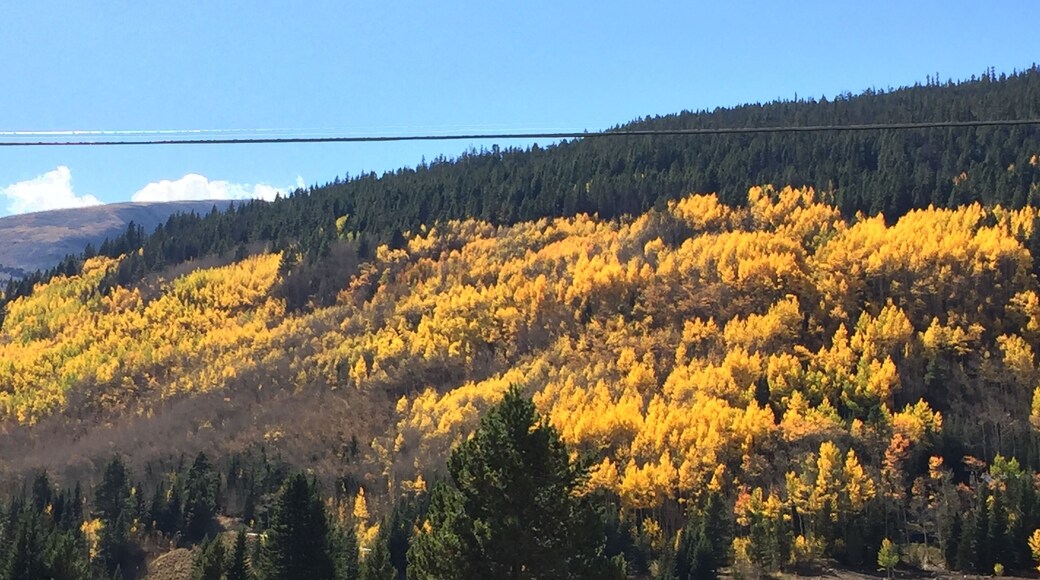 Love autumn in the Rockies. Aspens gold is hard to beat.