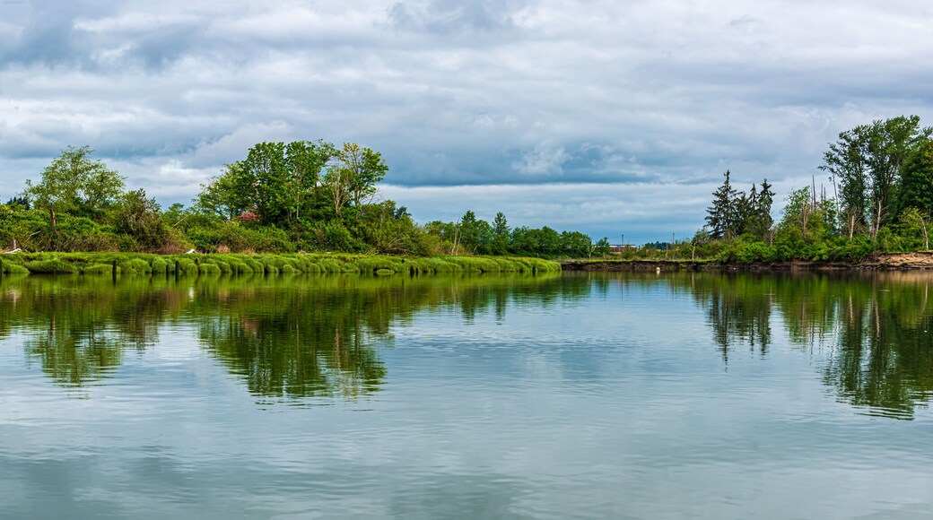 Panorama of a Stormy Morning on the Snohomish River in Springtime near Ferry Baker Island