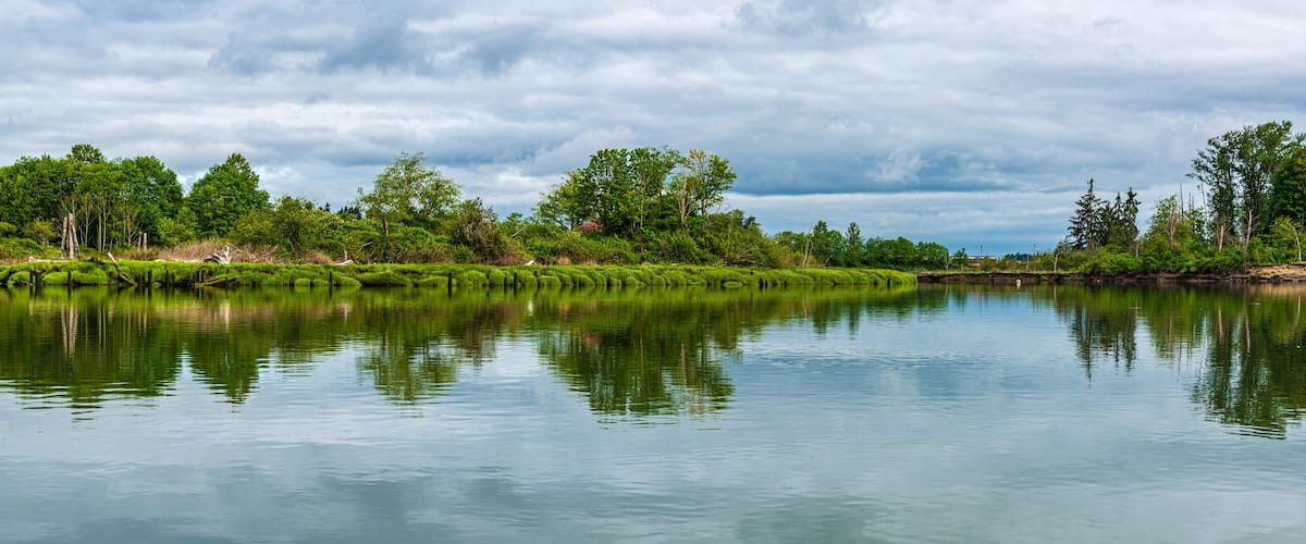 A calm river reflecting trees and a cloudy sky.