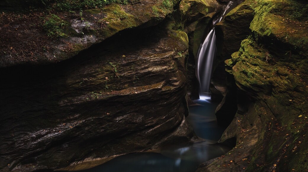 A hidden oasis in Ohio! Who would have thought. This is technically part of the hocking hills state park area but to get to this particular waterfall, you’ll need a permit!