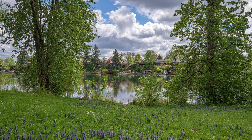 Garden Home-Whitford