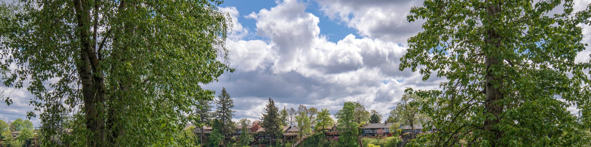 Spring bloom in a public park Oregon.