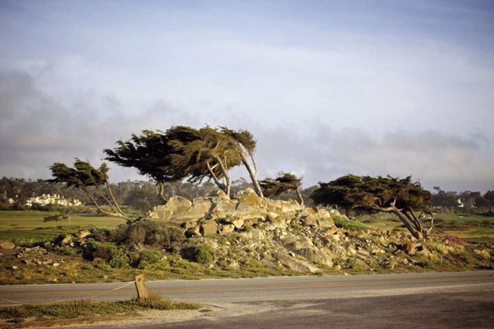 A rocky hill with trees and a road in the foreground.