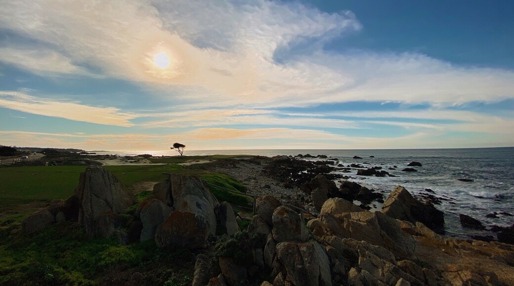 17 Mile Drive in Carmel :)