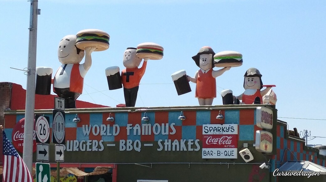 I didn't get to even try a burger. The line was literally down the street and around the corner. Must be that good.