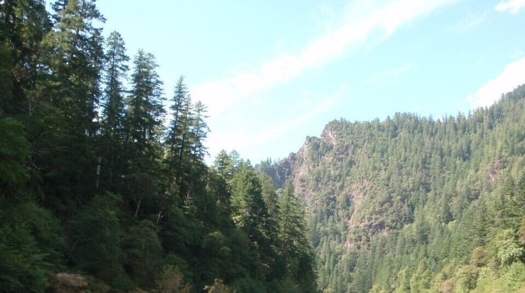 The green water sparkles on the rogue river. #LifeAtExpedia