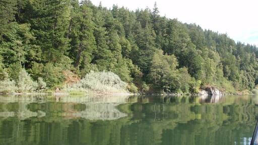 The beautiful rogue river is best seen from a jet boat! #LifeAtExpedia