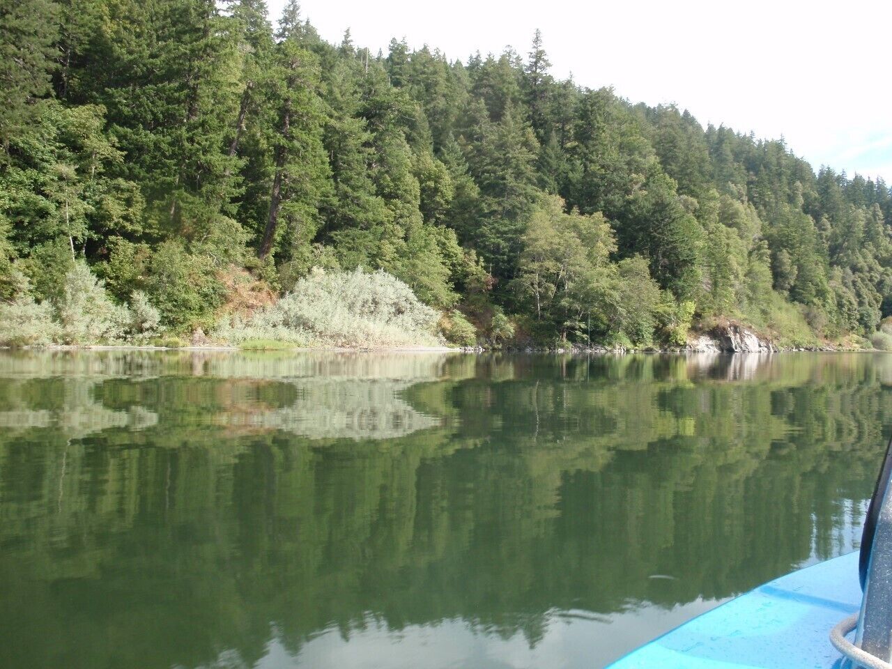 A calm lake surrounded by dense forest.