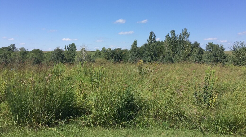 Lovely spot for a walk