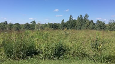 Lovely spot for a walk