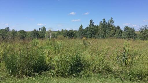 Lovely spot for a walk