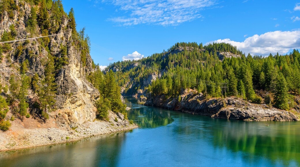Un río serpentea por un paisaje montañoso con bosques densos y un puente colgante.