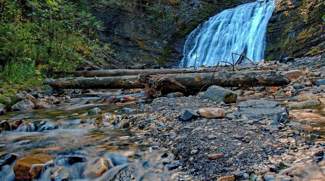 There is a small rest area on highway 31 just south of Metaline Washington, where a short hike down a well marked trail takes you to a beautiful waterfall. This was in mid October as the foliage was starting to turn. A nice place for a little lunch.
#waterfall #exquisite_waterfalls
#nature