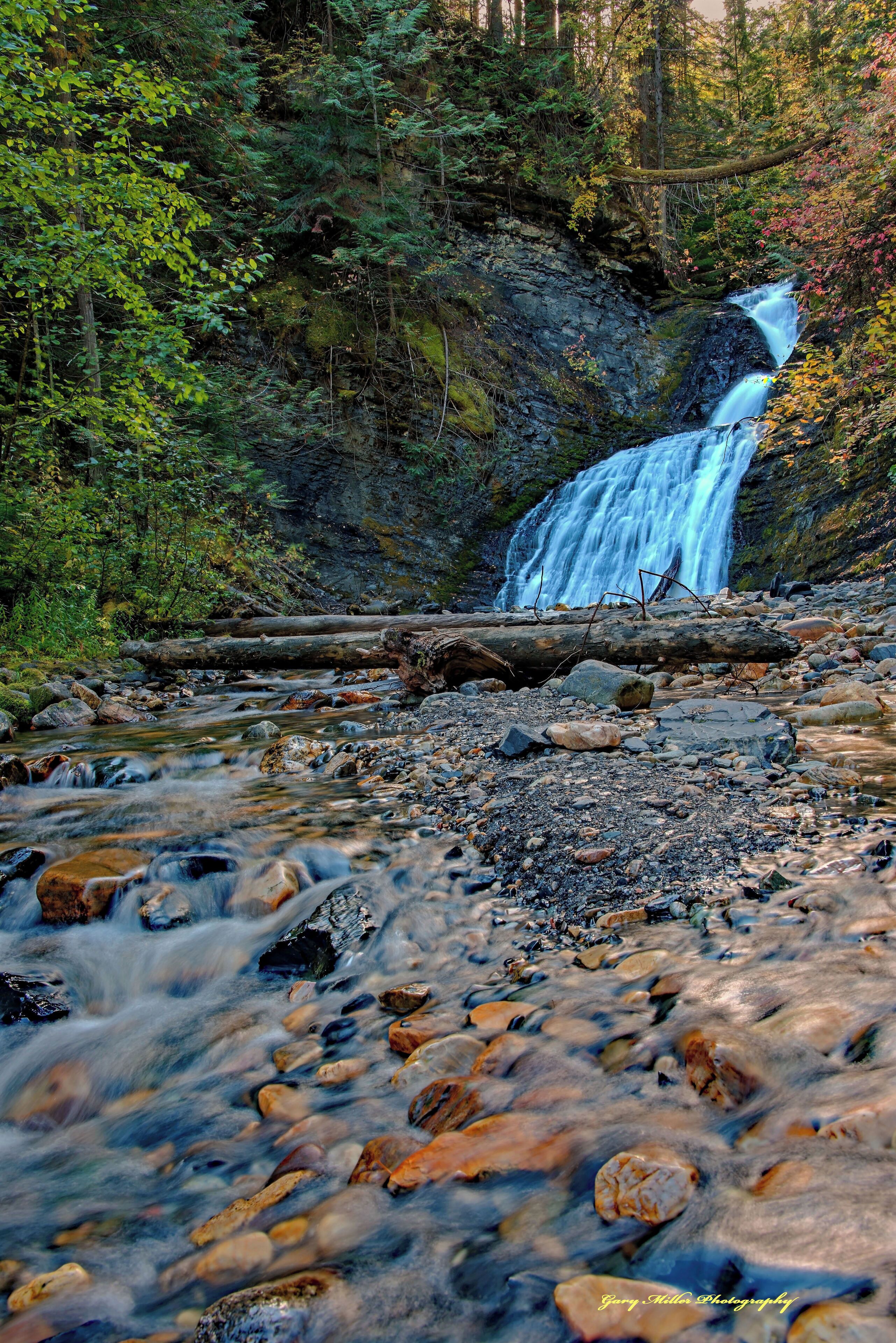 A waterfall in a forested area with a rocky foreground and a log in the water.