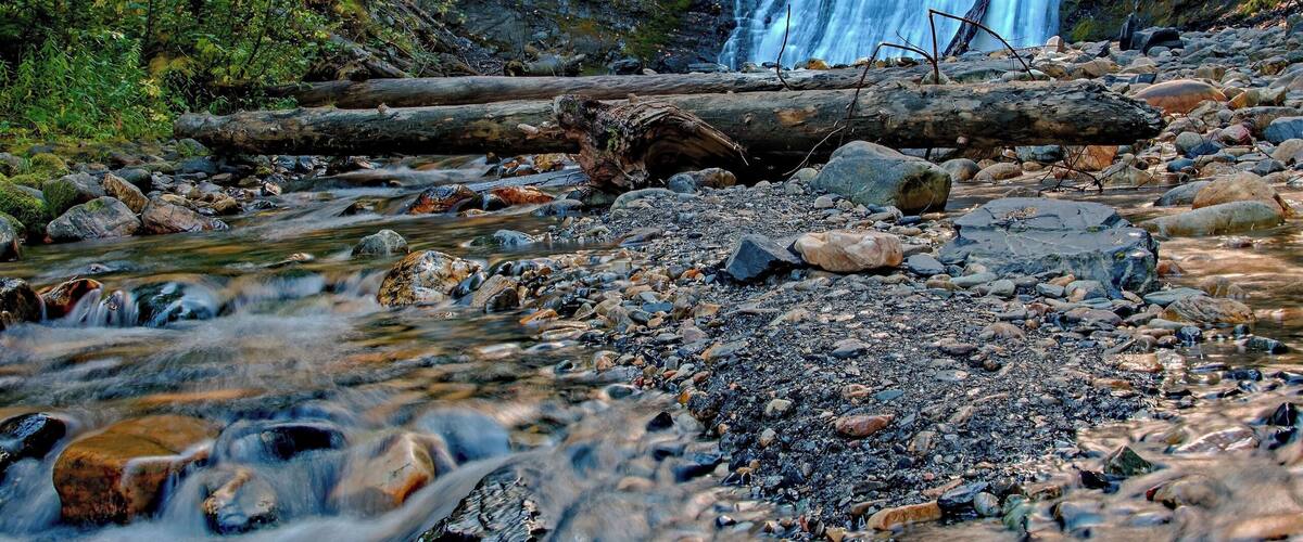 A waterfall in a forested area with a rocky foreground and a log in the water.