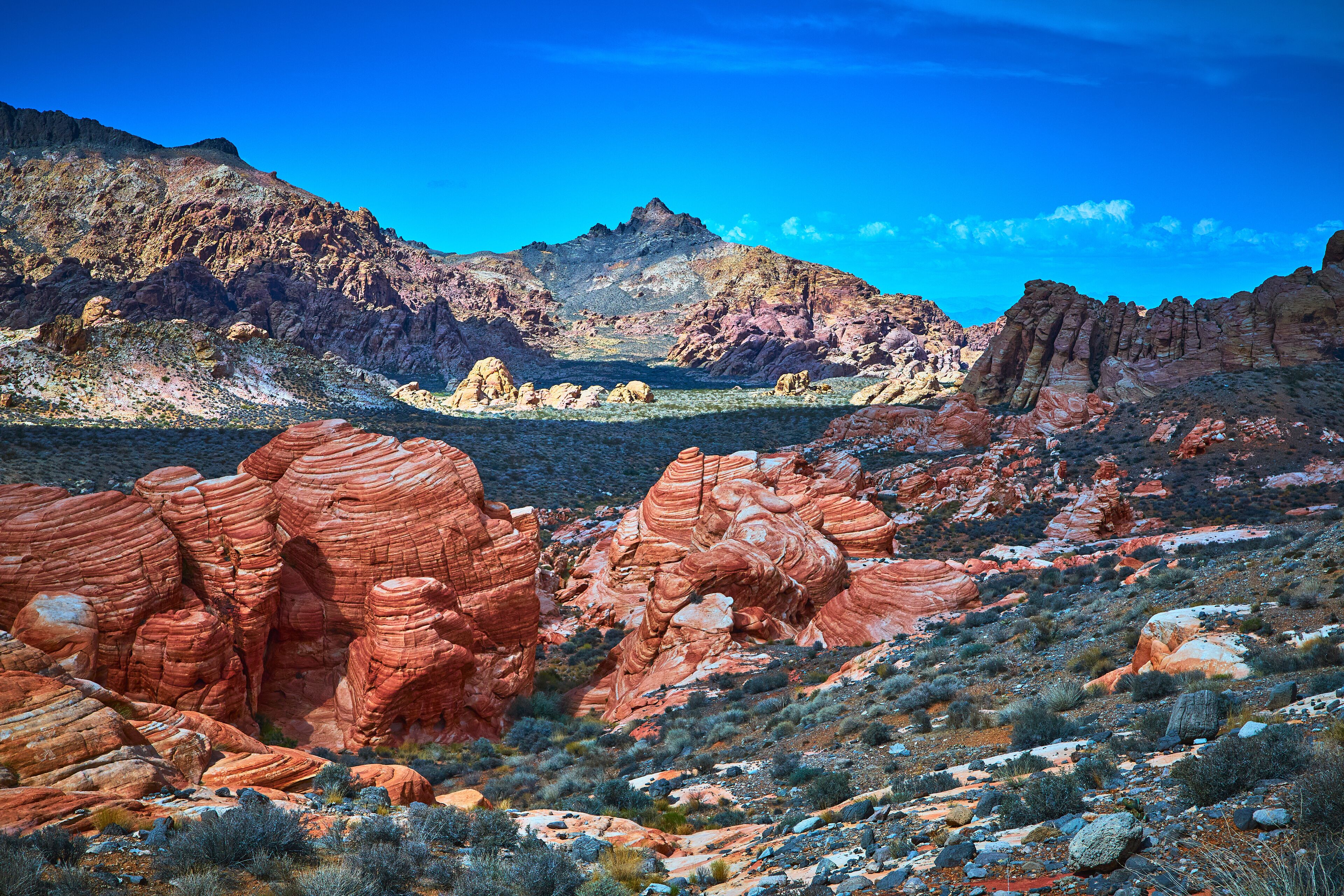 A desert landscape with red rock formations and a clear blue sky.