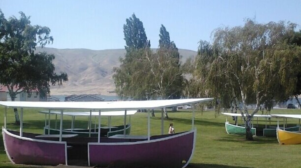 Fun, covered picnic "boats"