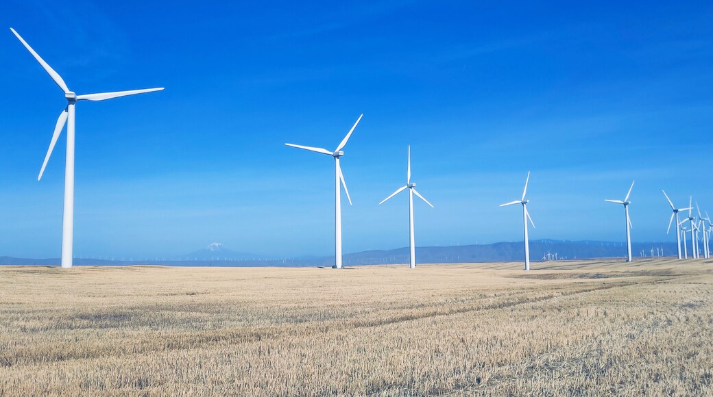 Breathtaking view of a lots of windmills with a beautiful blue sky in the mourning in early fall near the Columbia River in Klickitat County Washington State