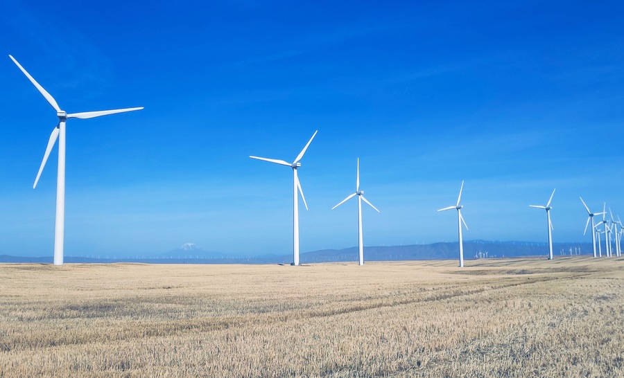 Breathtaking view of a lots of windmills with a beautiful blue sky in the mourning in early fall near the Columbia River in Klickitat County Washington State