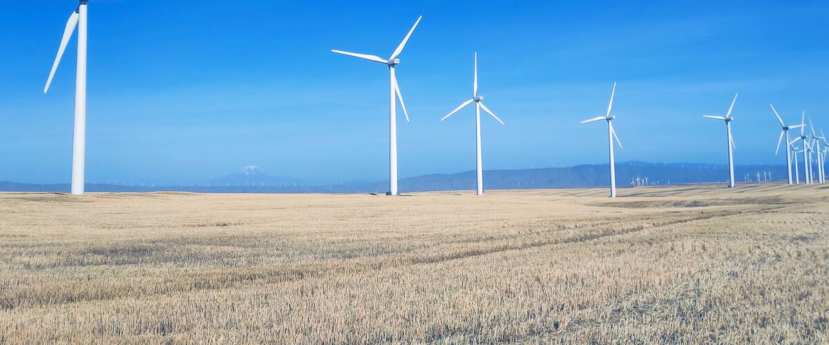 A wind farm with multiple wind turbines in a field.