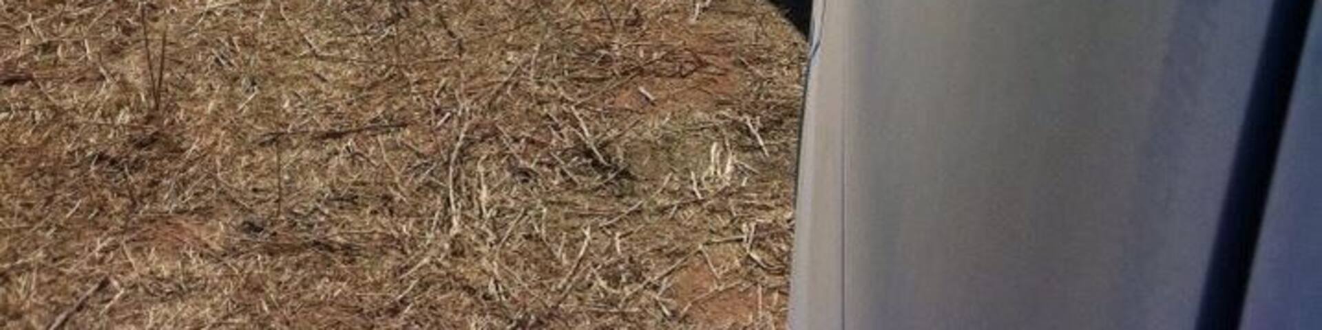 #Redneck roller coaster at the corn maze! You ride in the vans behind a #tractor!