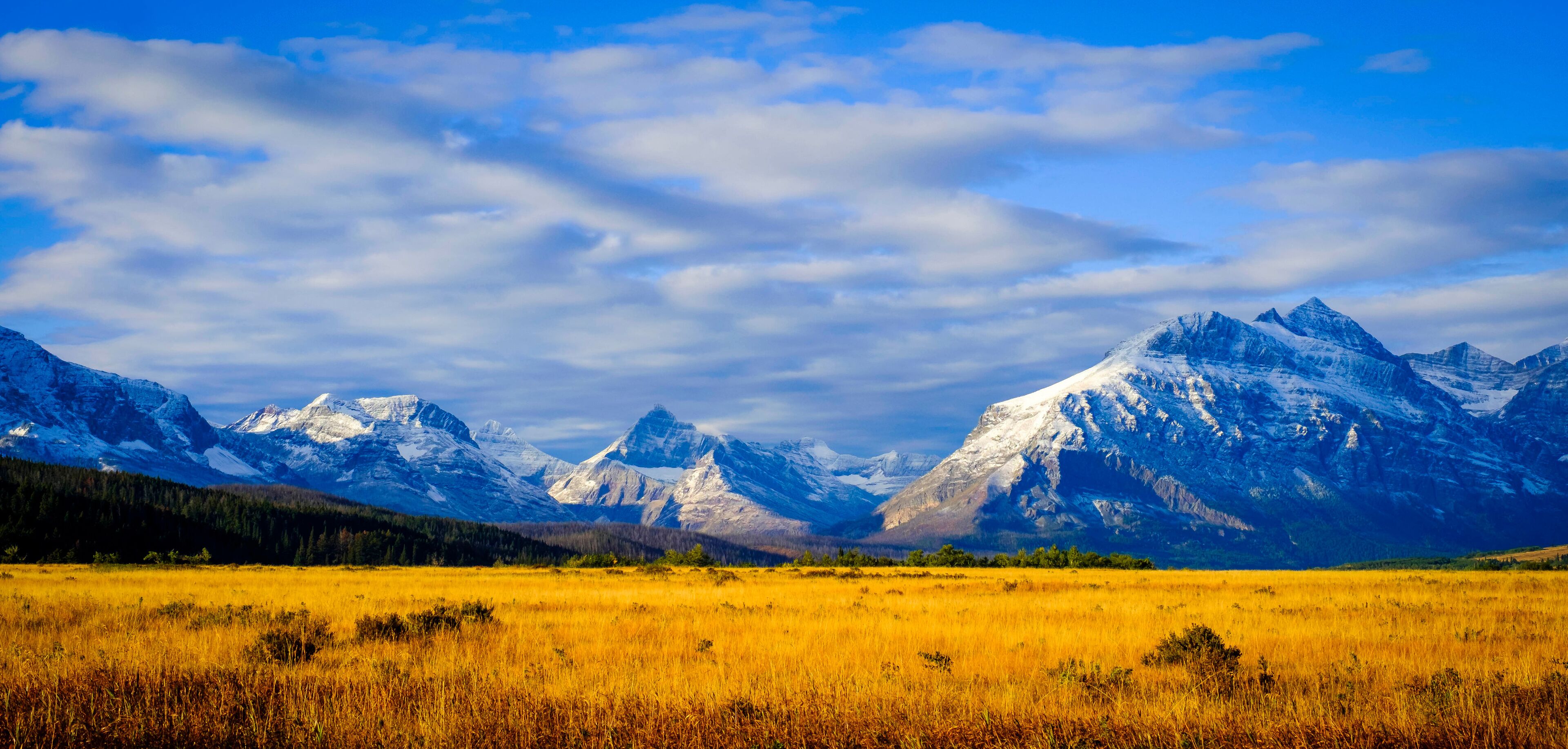 A mountain range with snow-capped peaks and a golden field in the foreground.