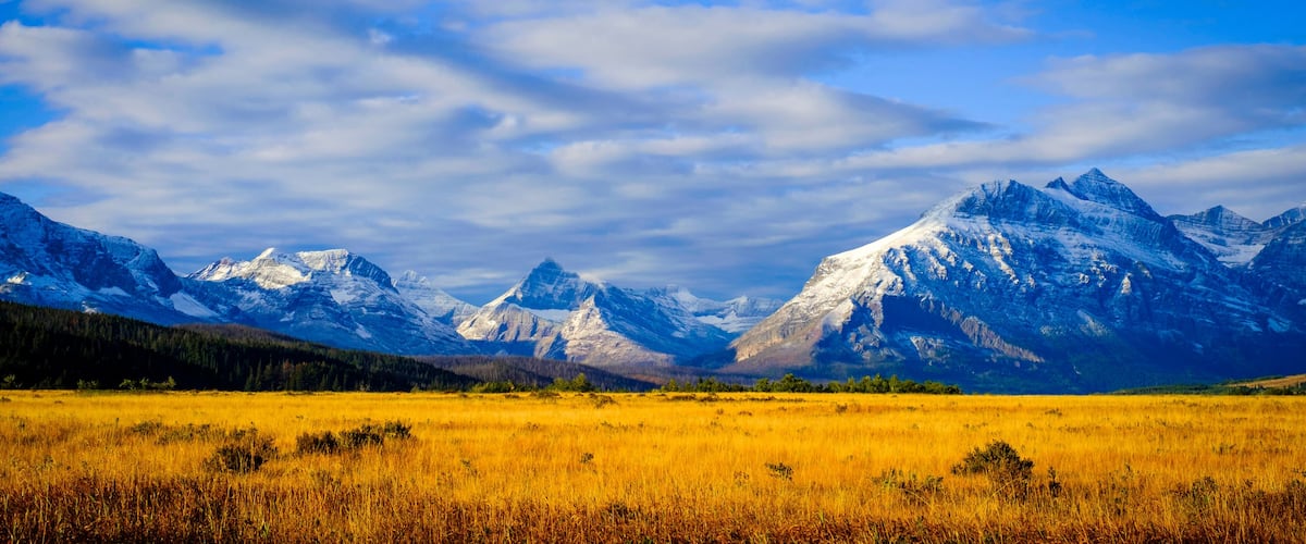 A mountain range with snow-capped peaks and a golden field in the foreground.