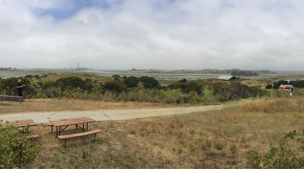 Great hiking around the slough. Saw lots of sea birds and otters, crabs, lizards and even 3 different snakes. Trails are easy hiking and they also do kayak trips into the slough. Fun place to see nature.