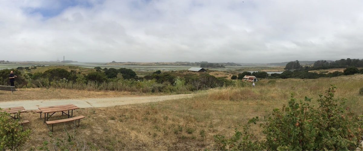 A rural landscape with a dirt path, picnic tables, and a small building.